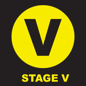Stage V